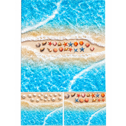 Ocean Shore & Shells