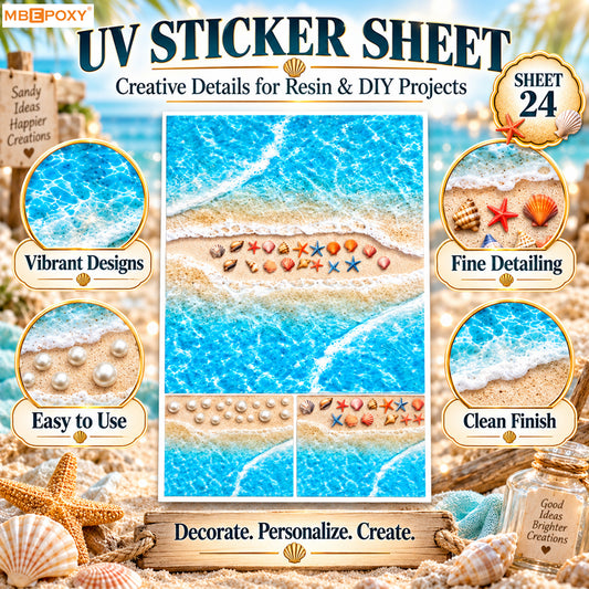 Ocean Shore & Shells