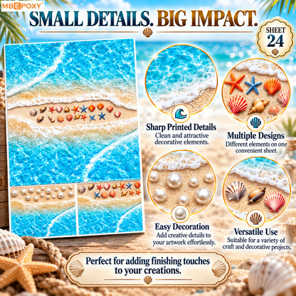 Ocean Shore & Shells