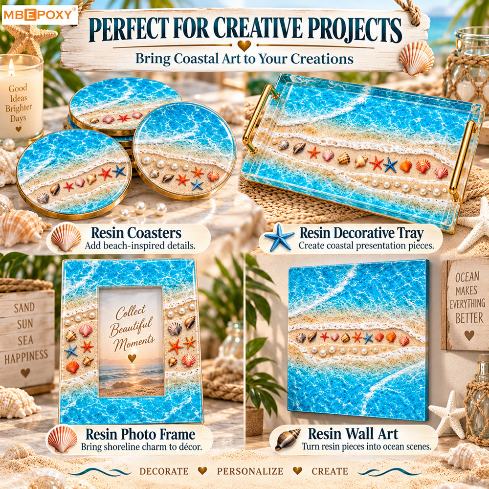 Ocean Shore & Shells