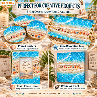 Ocean Shore & Shells