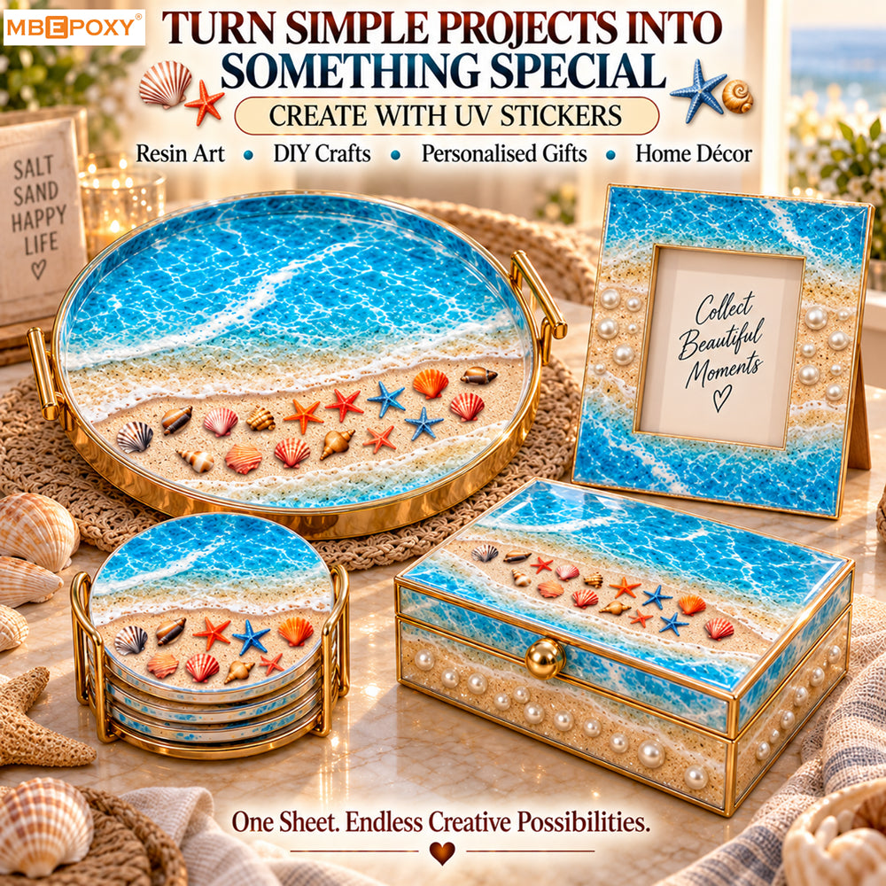 Ocean Shore & Shells
