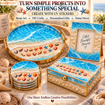Ocean Shore & Shells