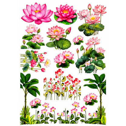 Hanging Lotus Vine