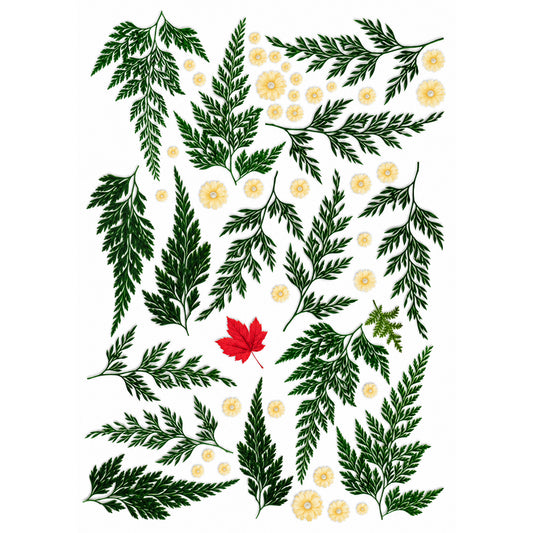 Green Fern Leaves