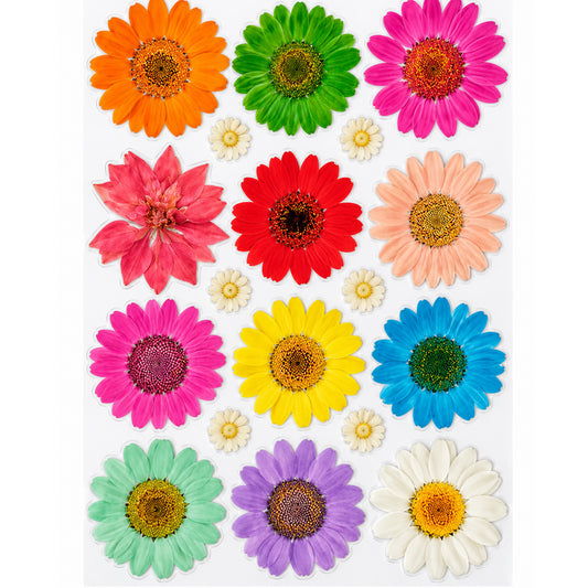 Gerbera Daisy Grid