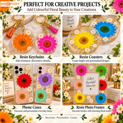 Gerbera Daisy Grid