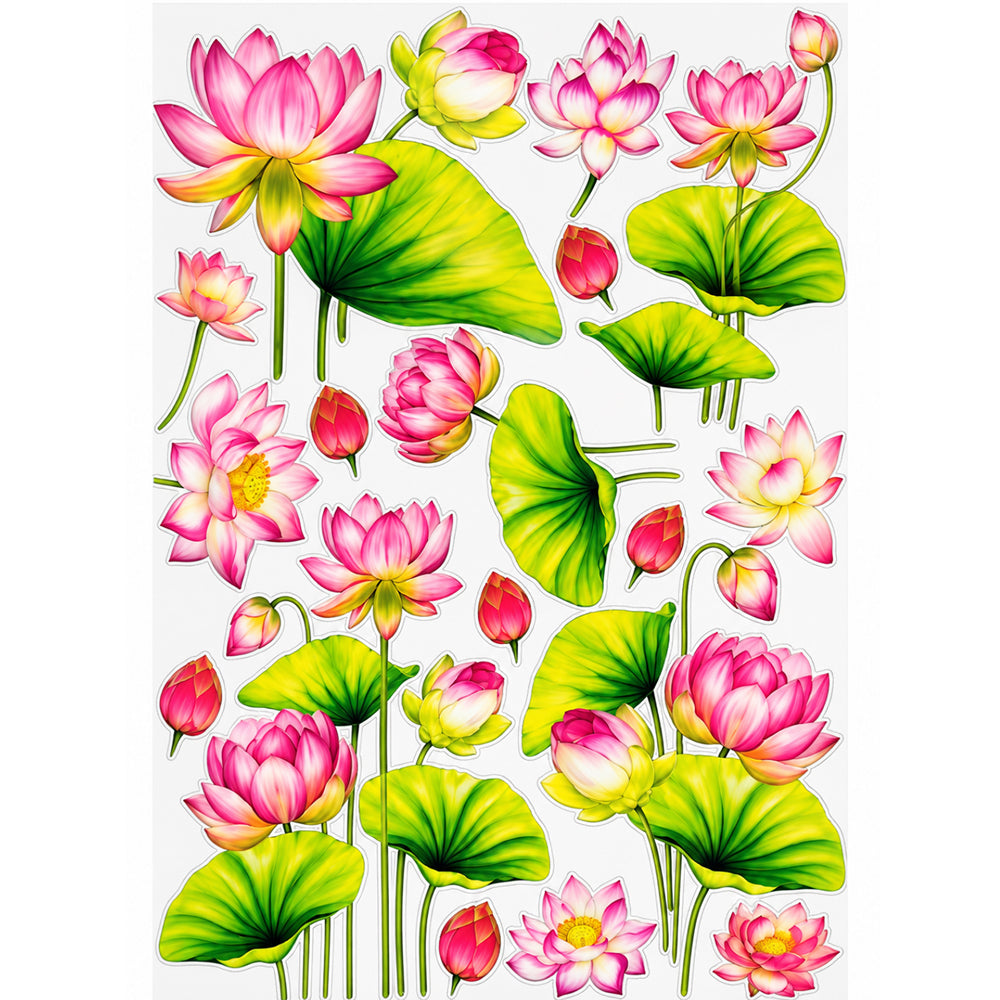 Lotus Leaves Scatter