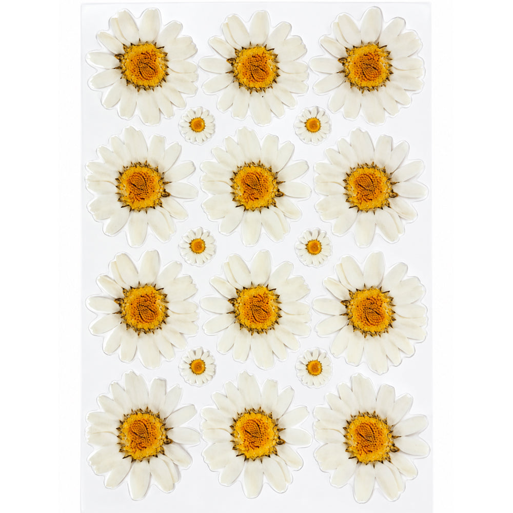 White Daisy Grid