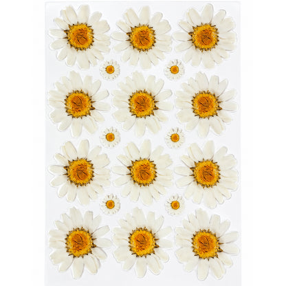 White Daisy Grid