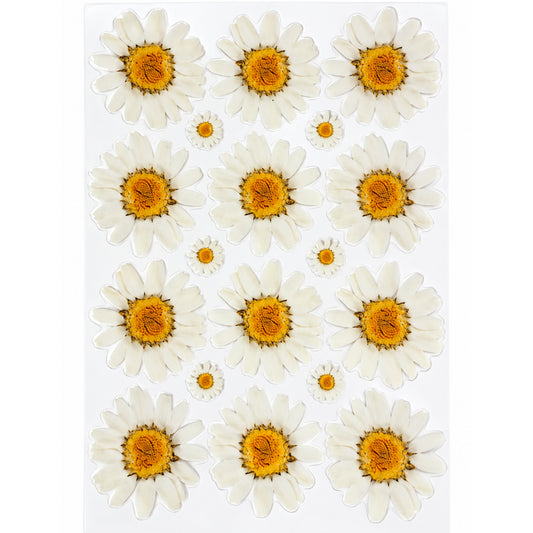 White Daisy Grid