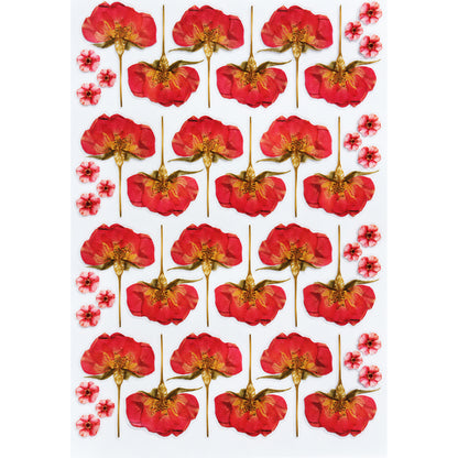 Red Poppy Grid
